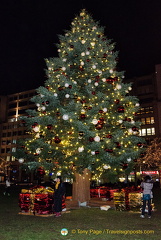 Me, under the giant Christmas tree